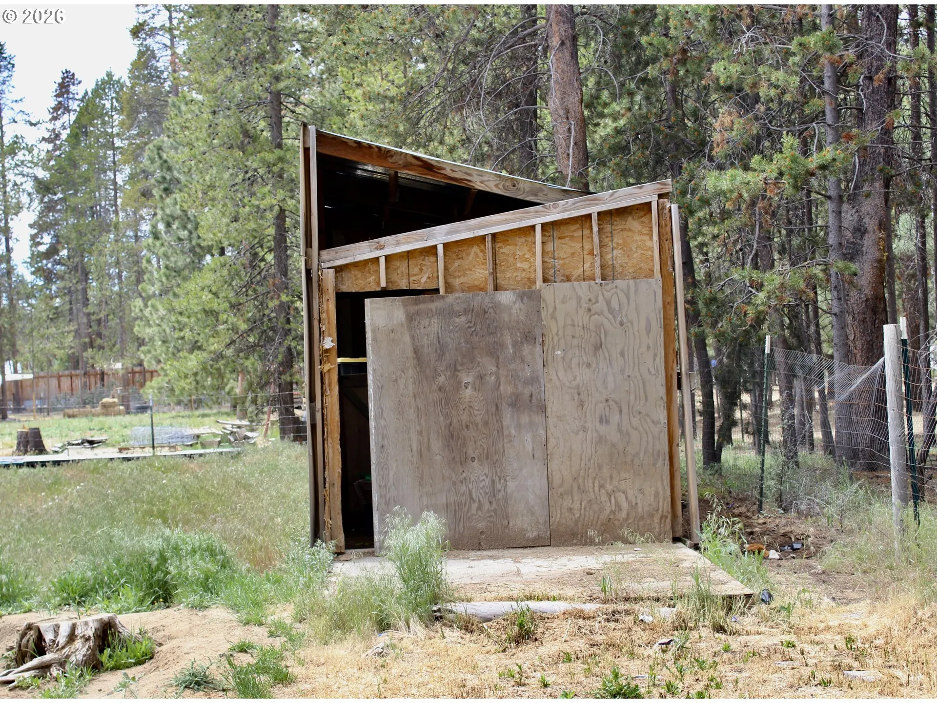 Shed-# 1