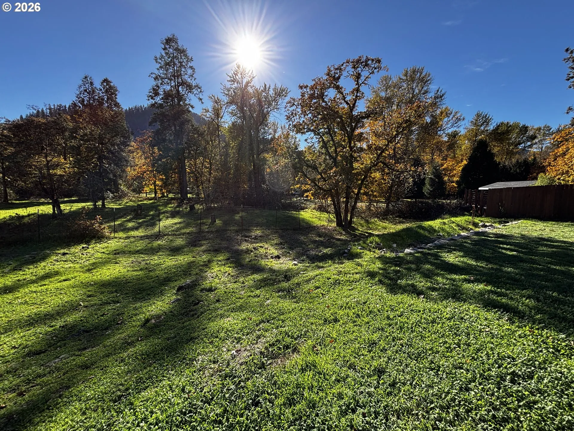 Backyard-View From