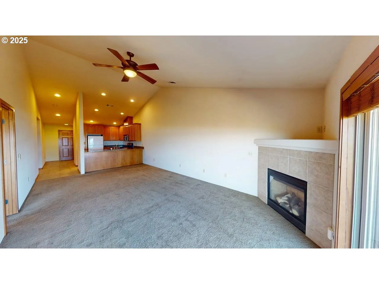 Living Room-Fireplace