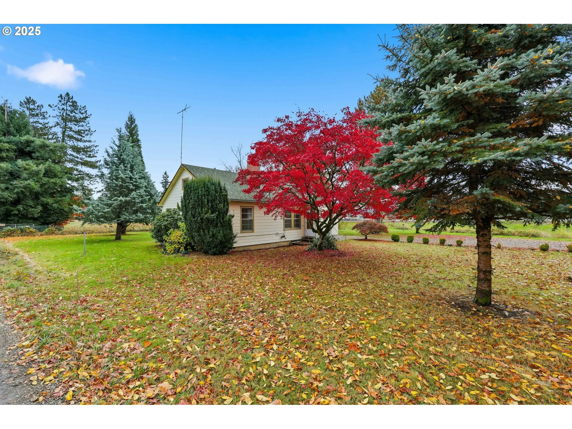 Yard-Front