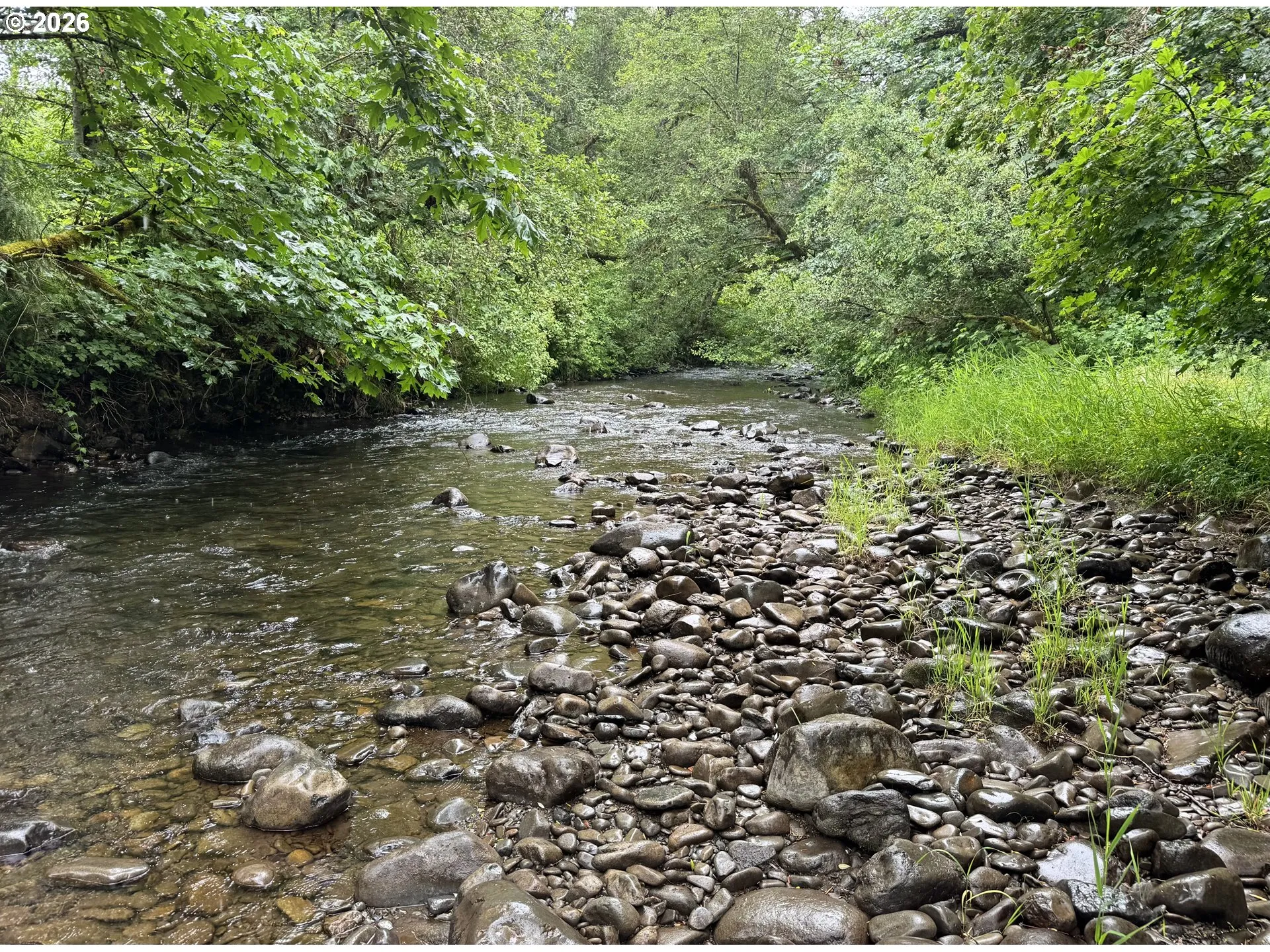 Creek