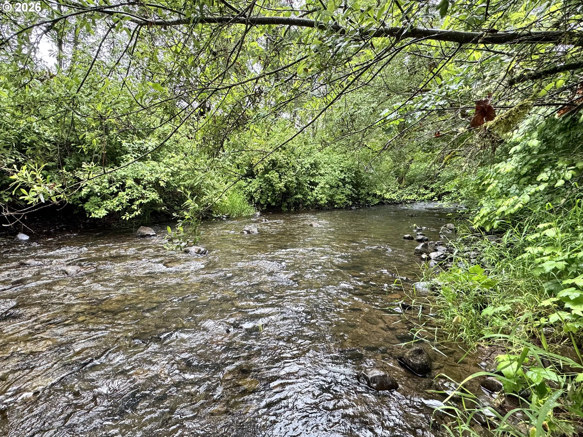 Creek