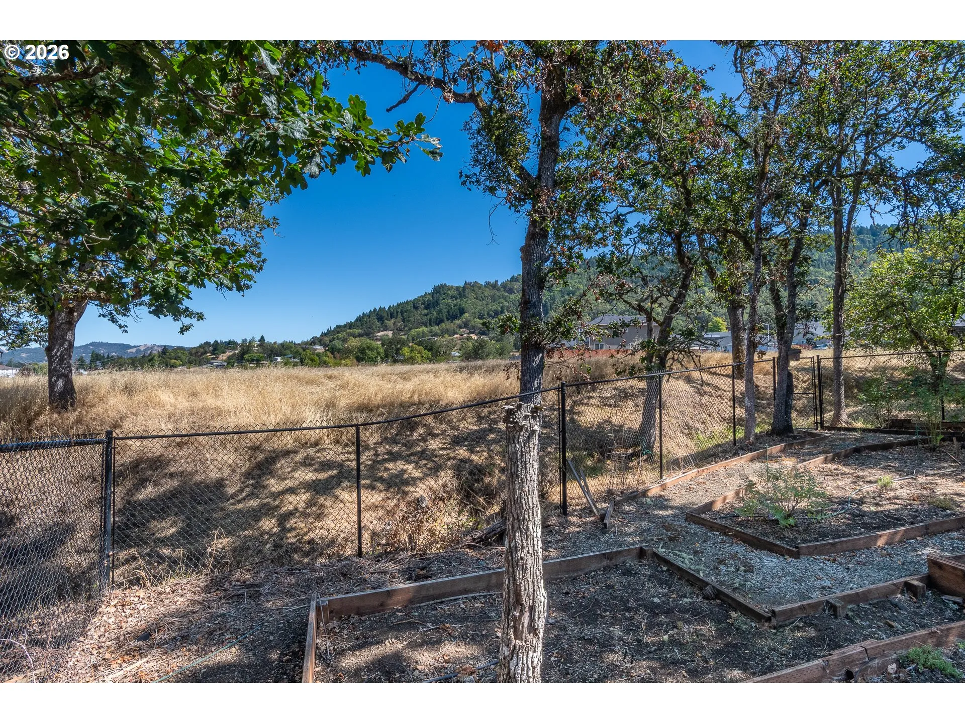 Backyard-View From