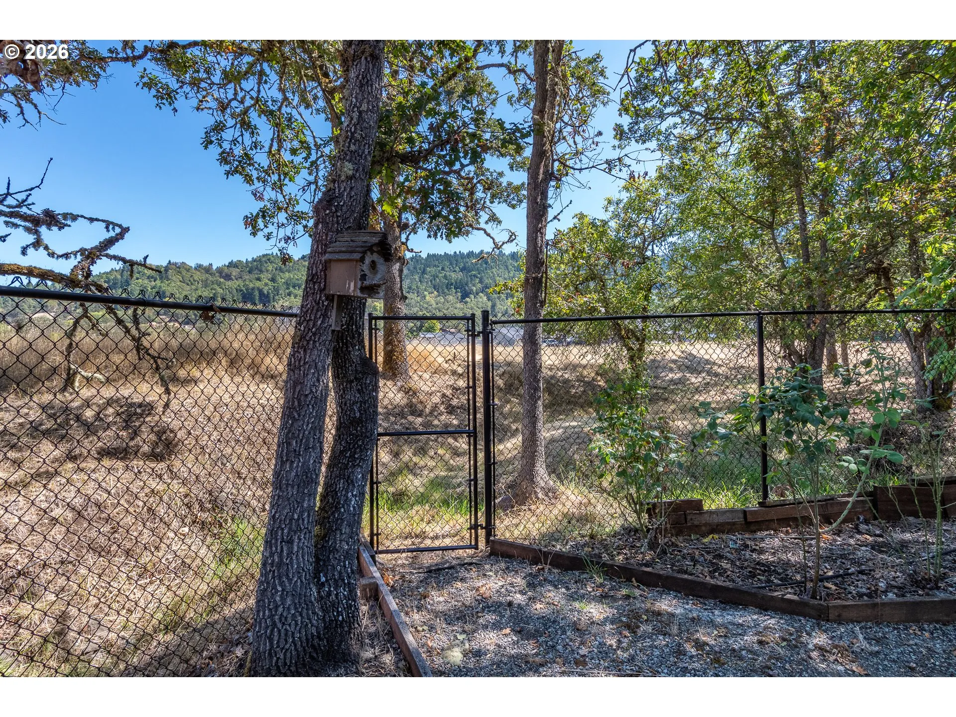 Backyard-View From