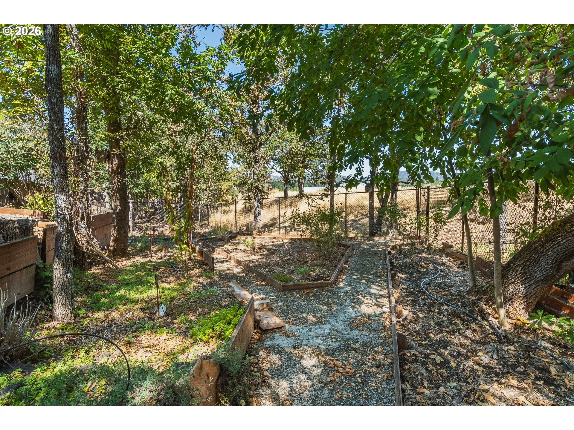 Backyard-Fenced