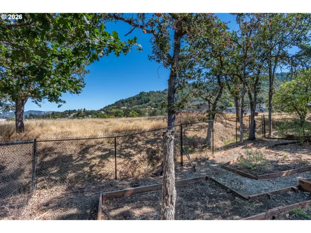 Backyard-View From