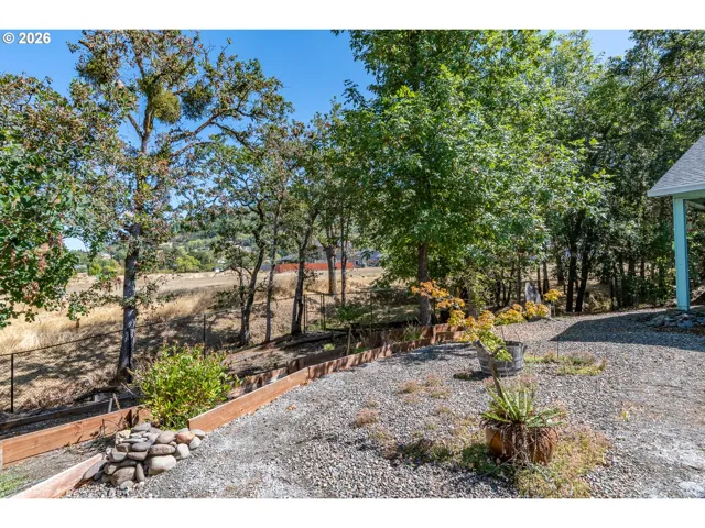 Backyard-View From