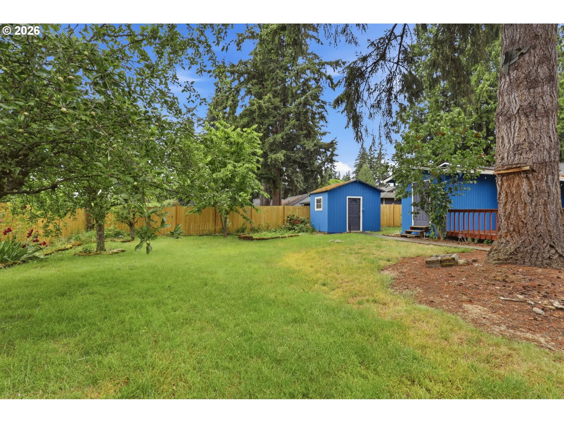 Backyard-Fenced