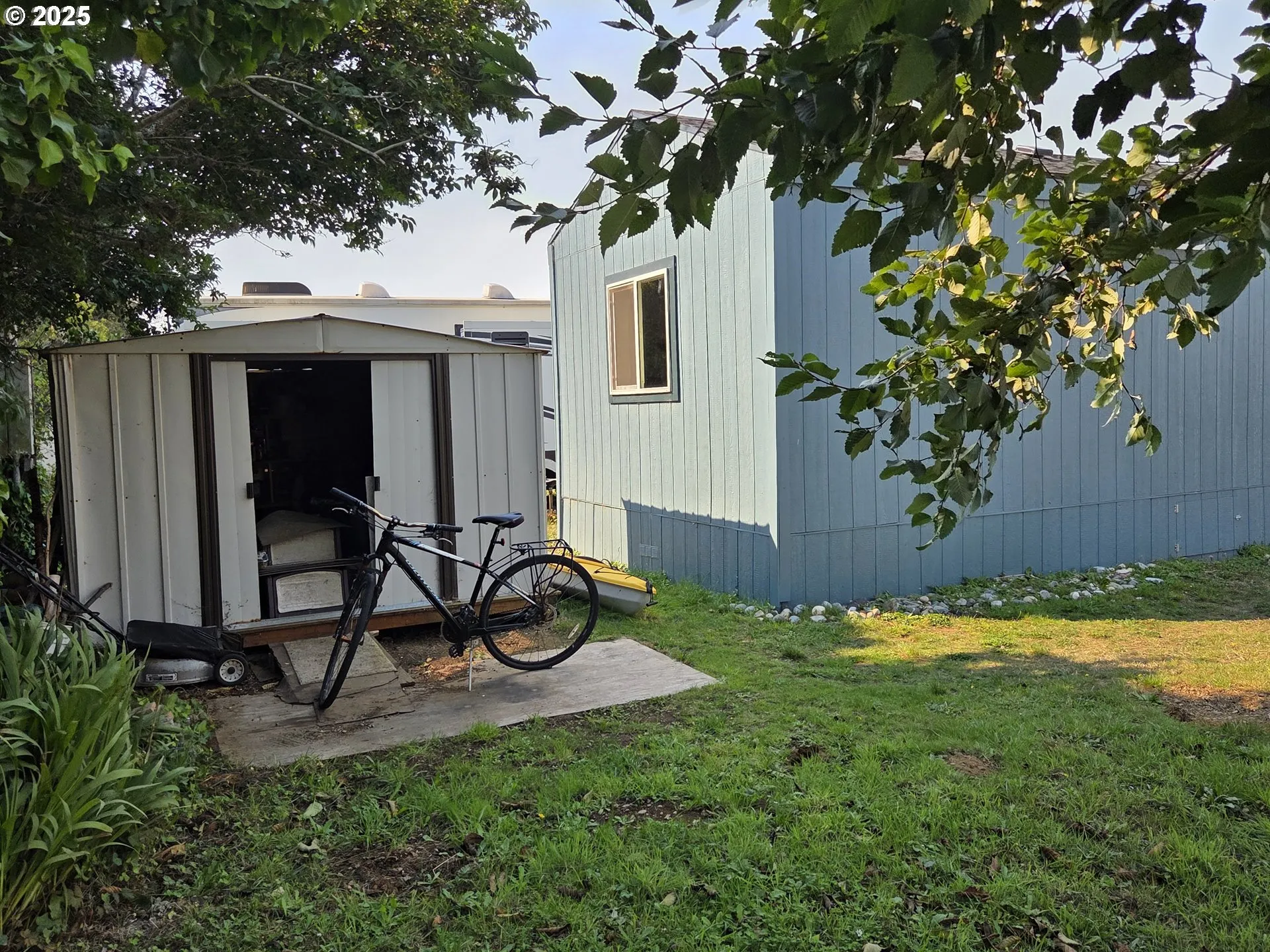 Shed