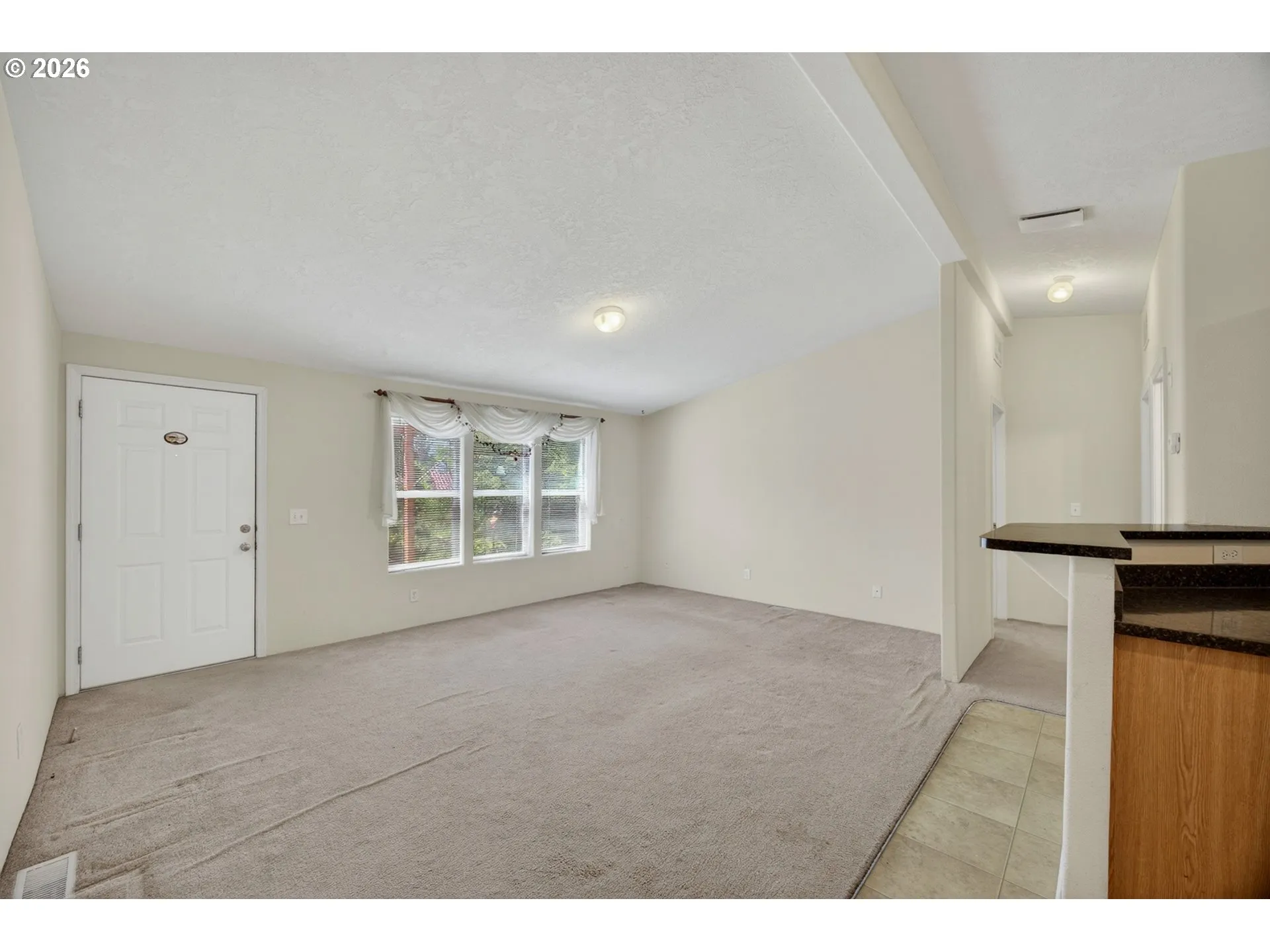 Living Room/Entrance