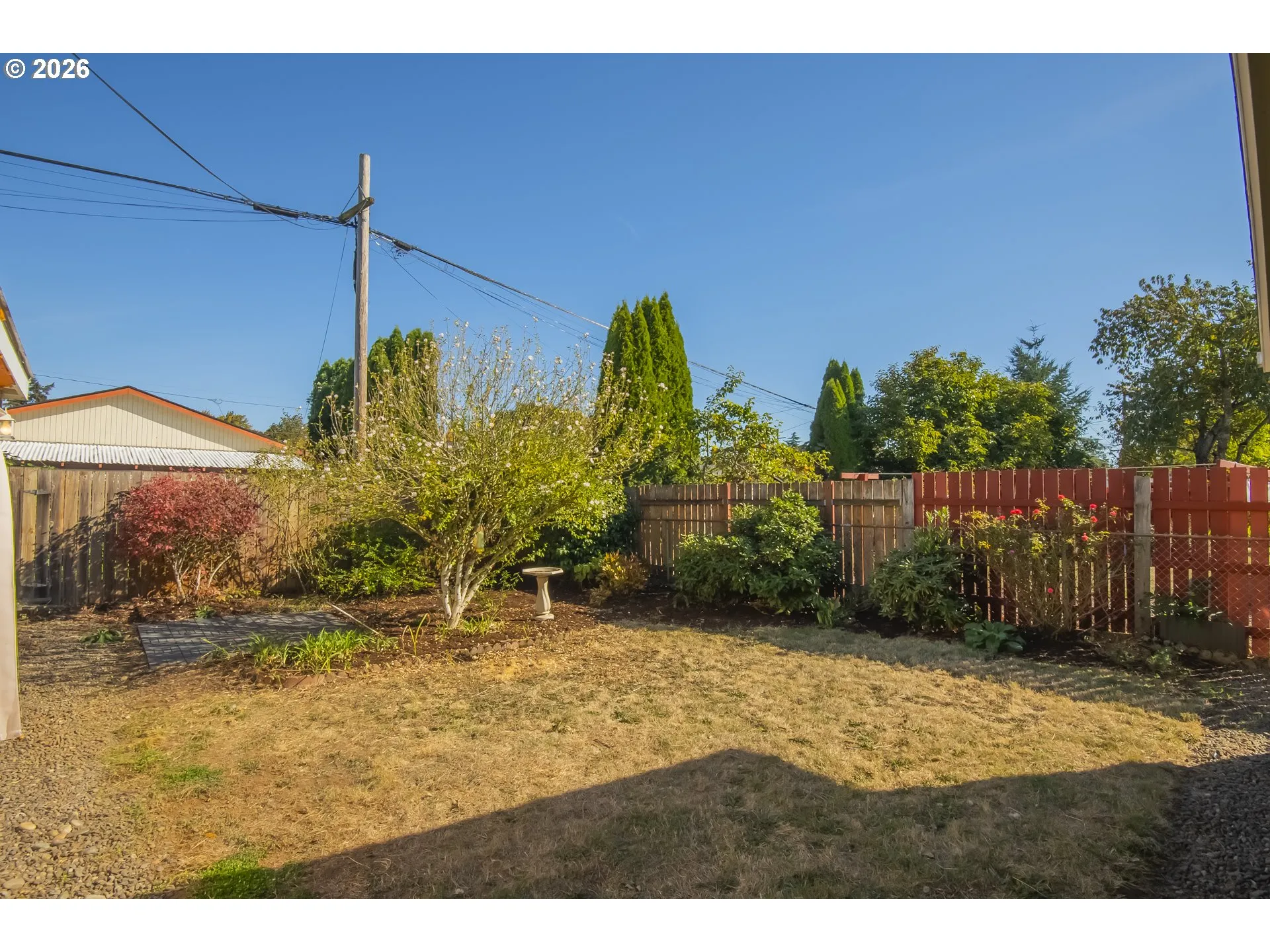 Backyard