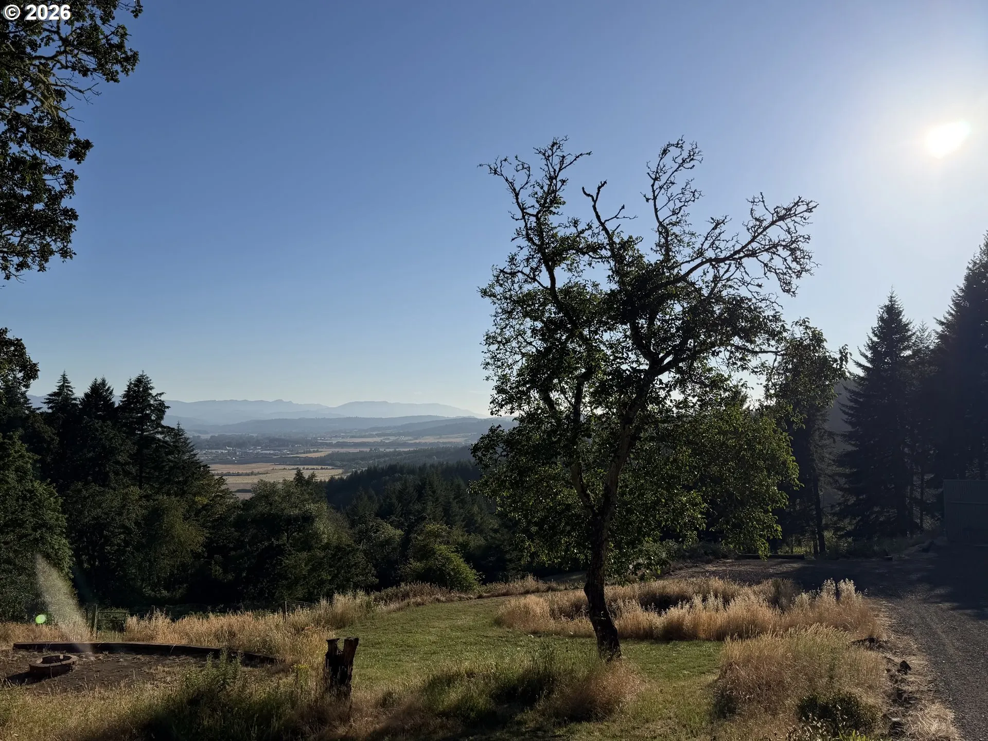 View