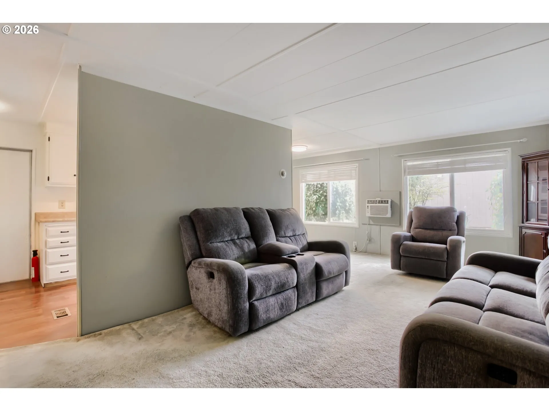 Living Room/Entrance