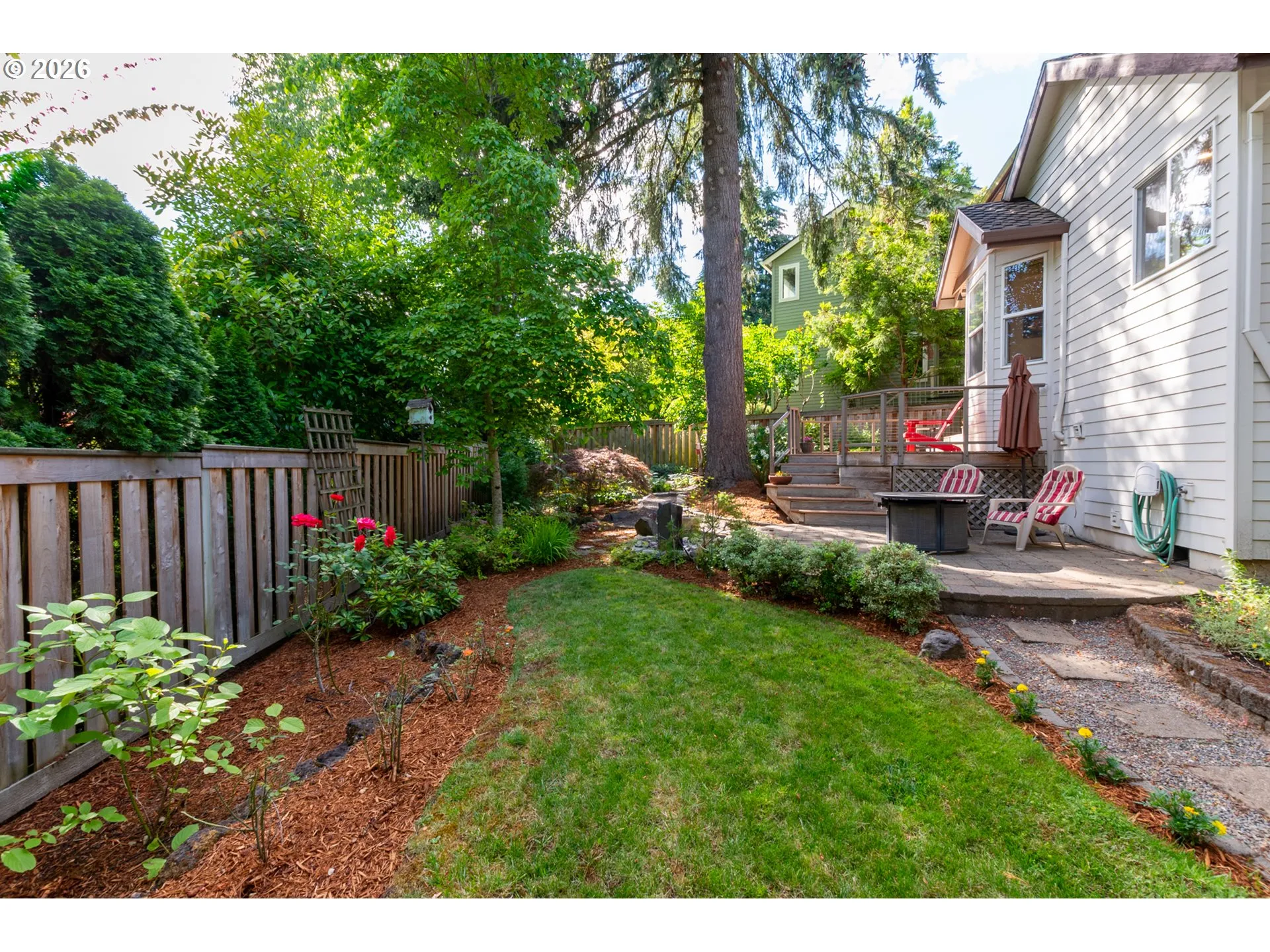 Backyard
