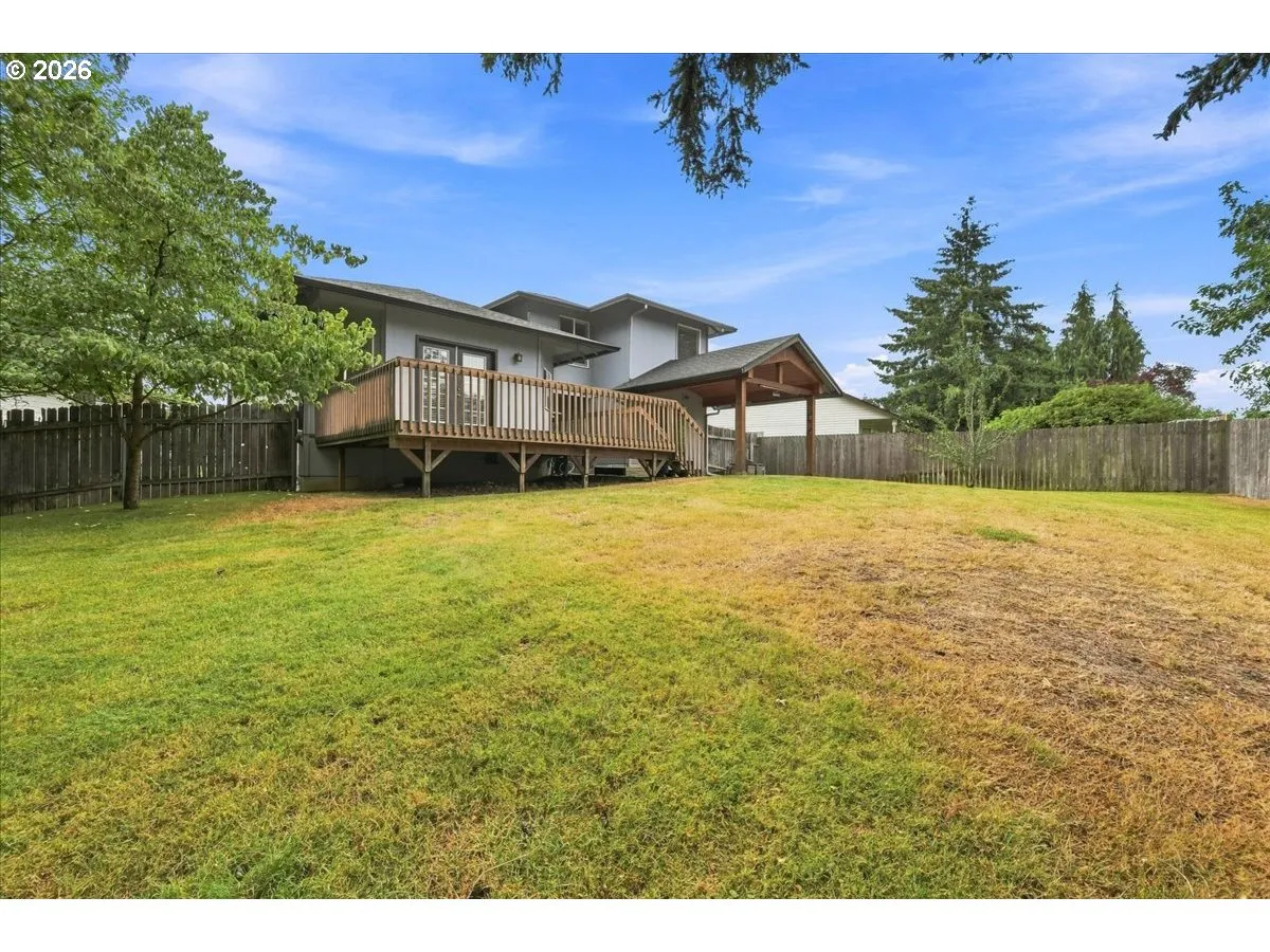 Backyard-View From