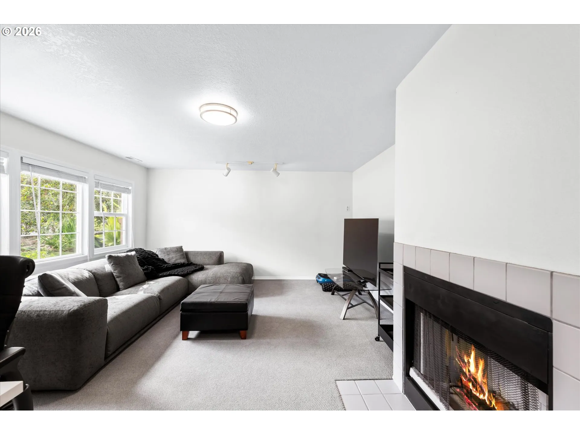 Family Room-Lower
