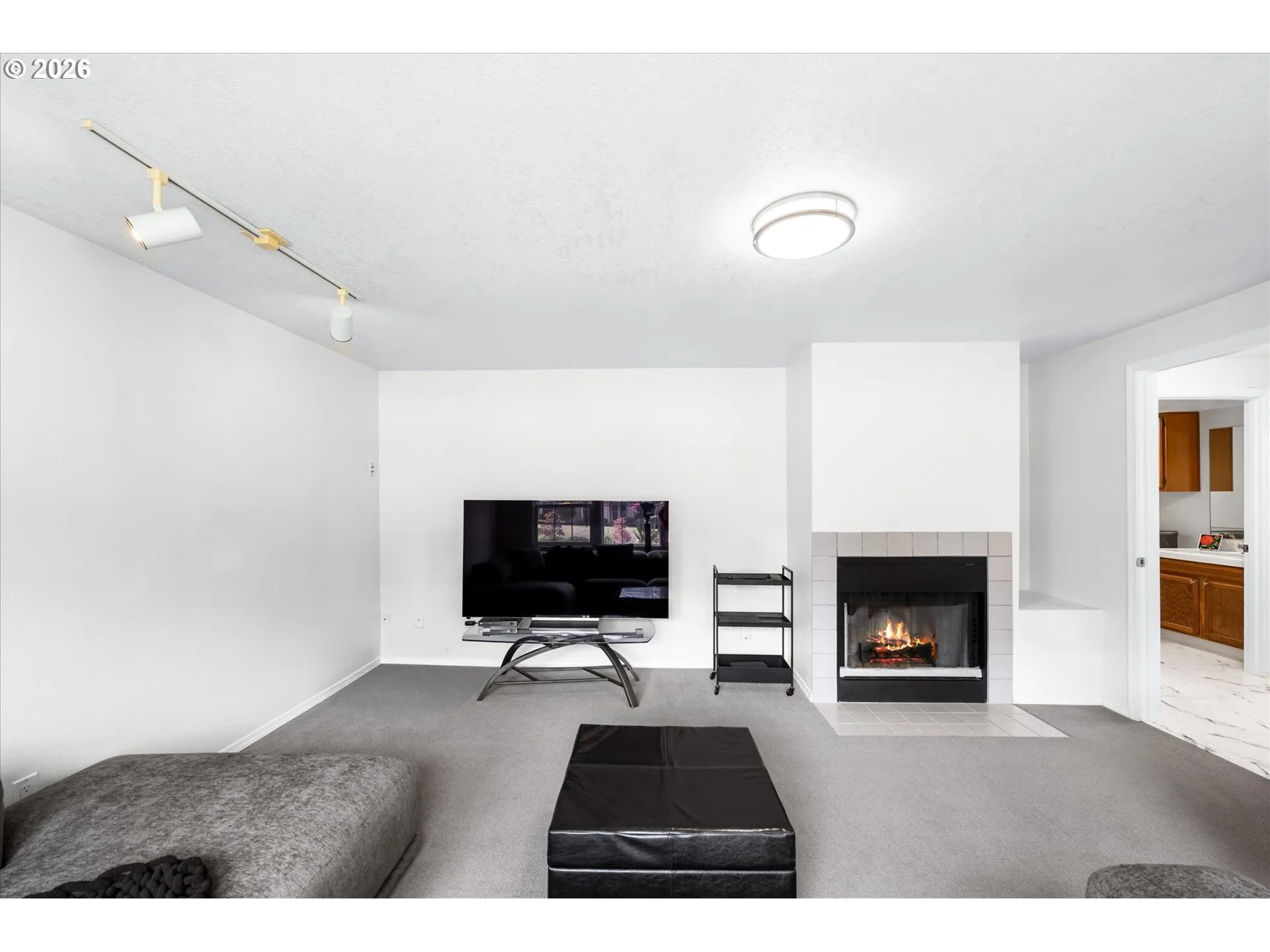 Family Room-Lower