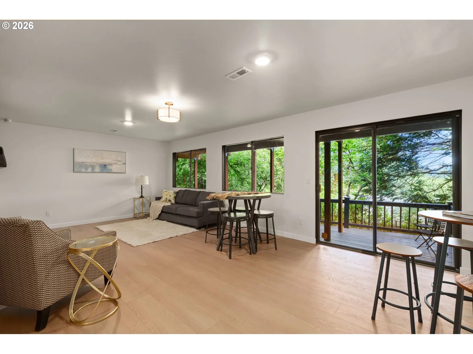Family Room-Lower