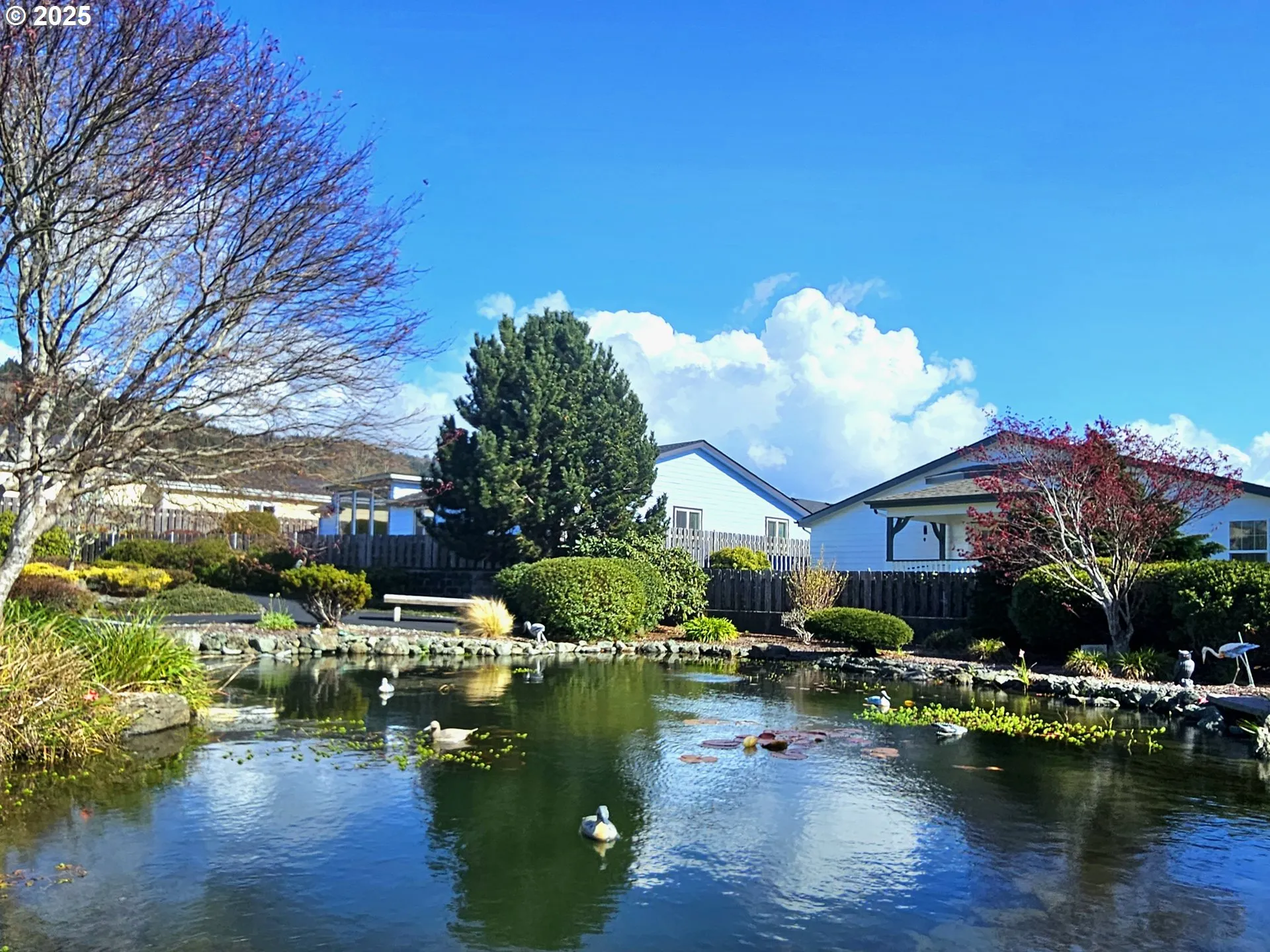 Community Garden