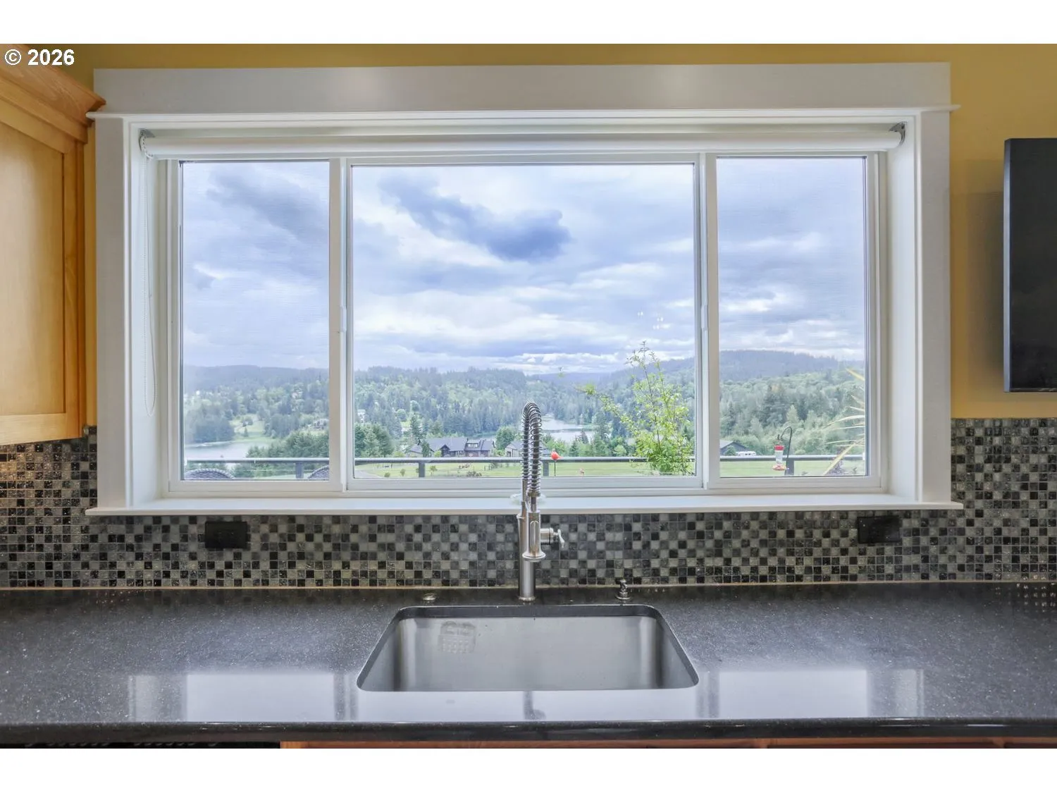 Kitchen-View From
