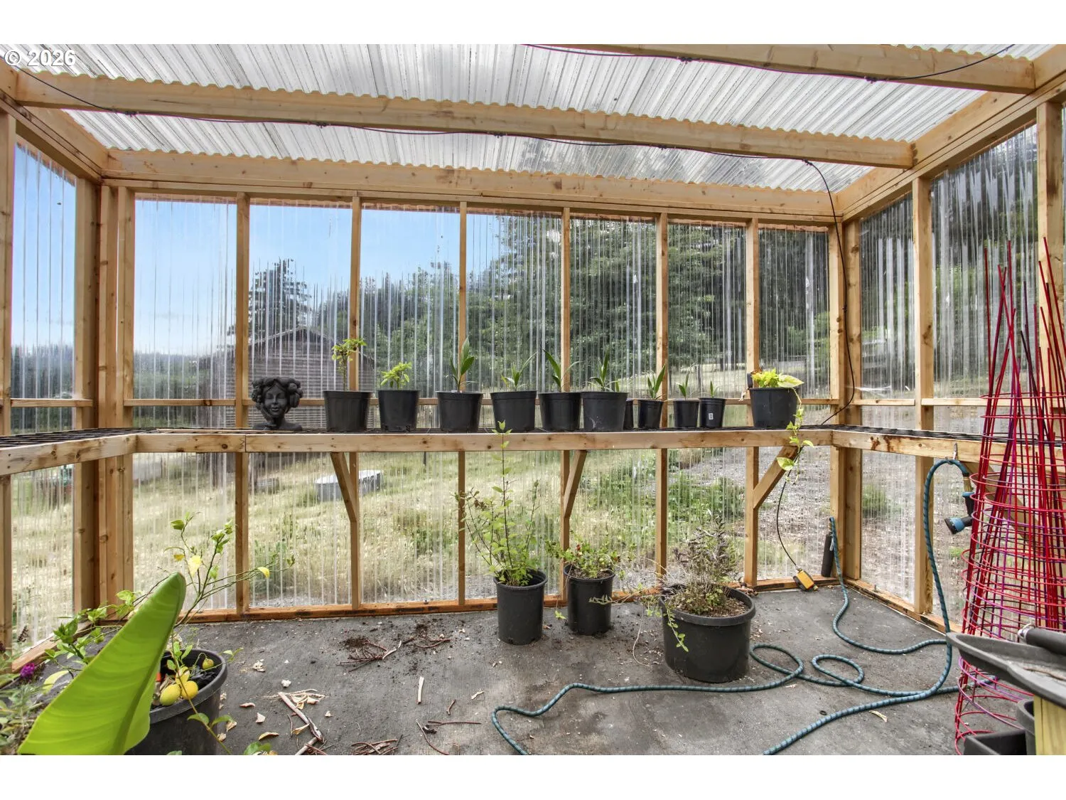Greenhouse-# 2