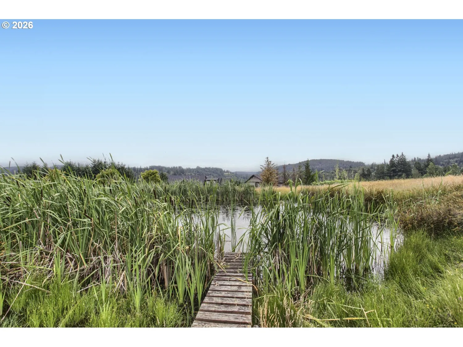 Pond