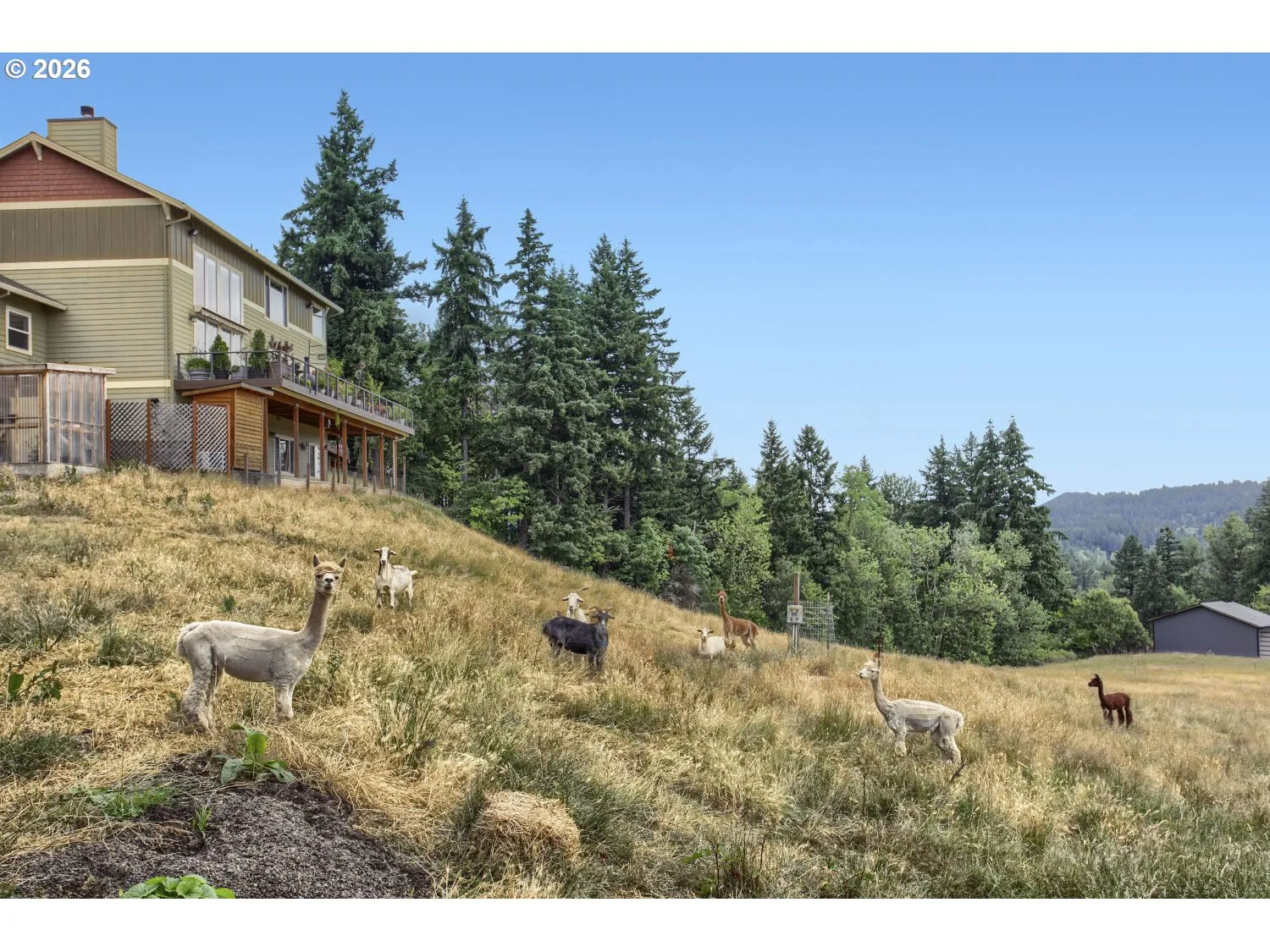 Acreage