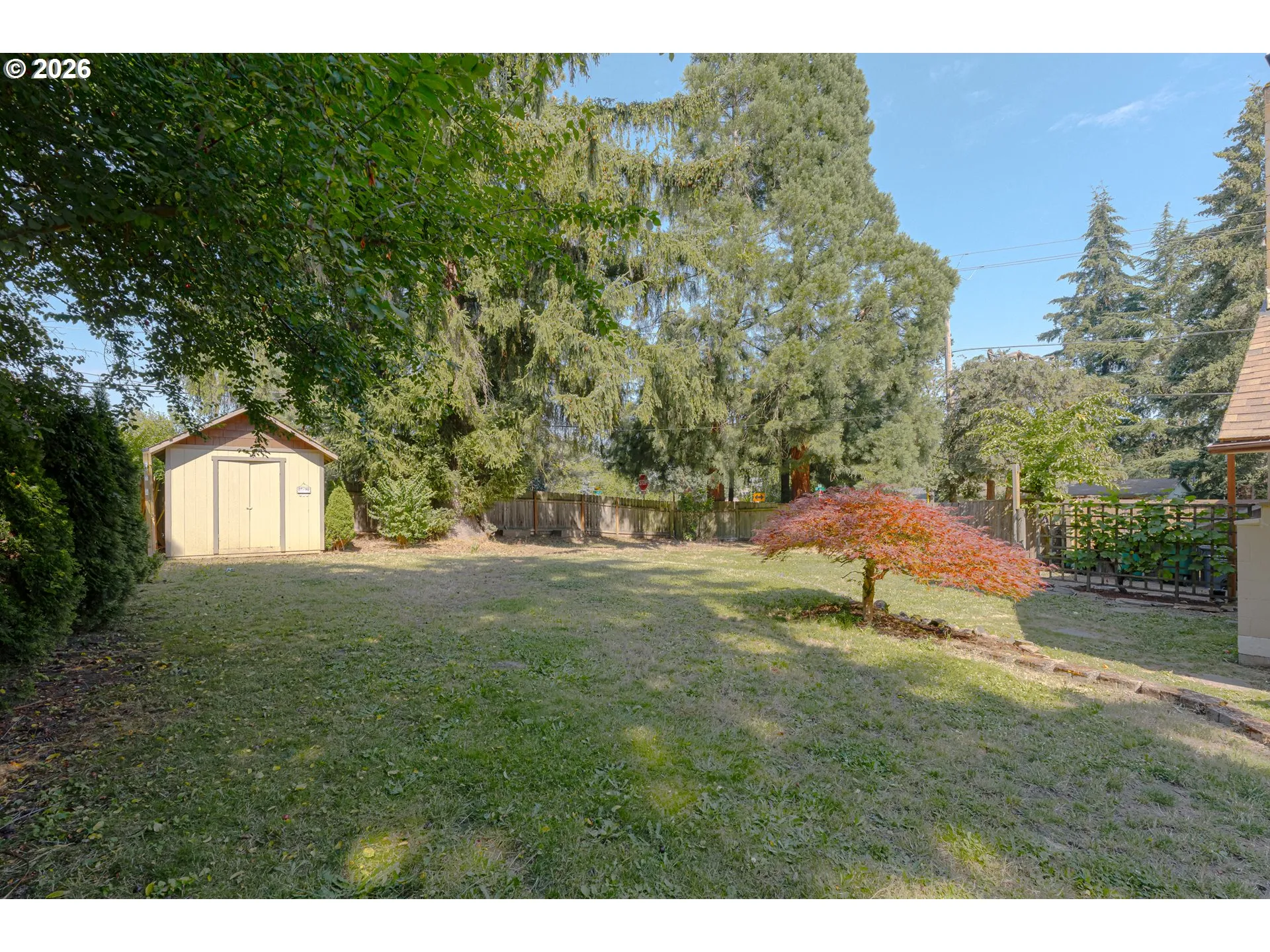 Backyard-Fenced
