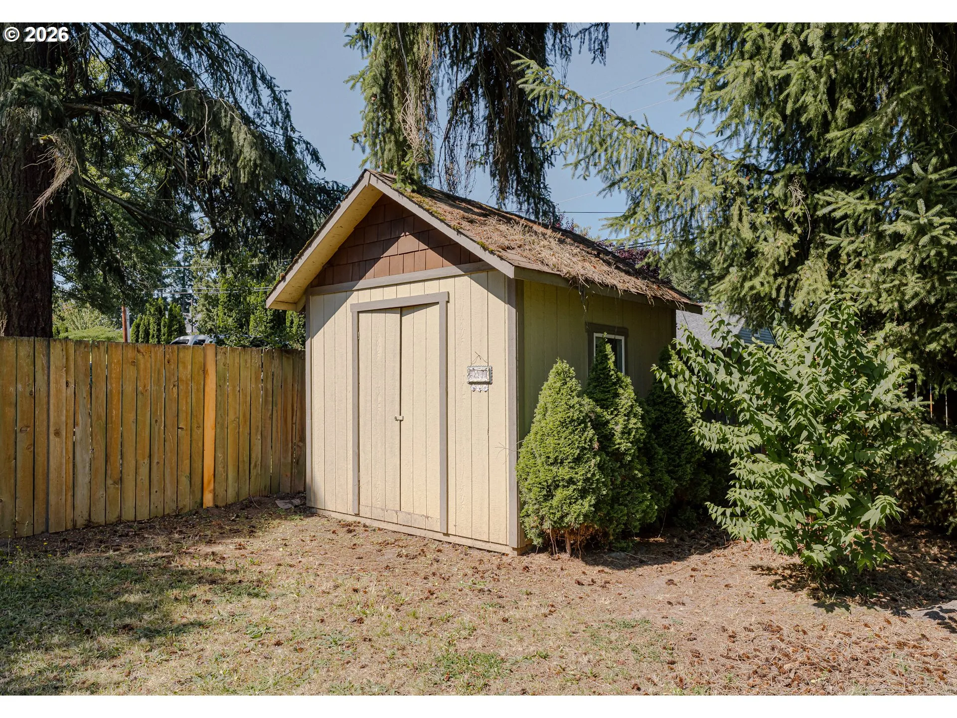 Shed