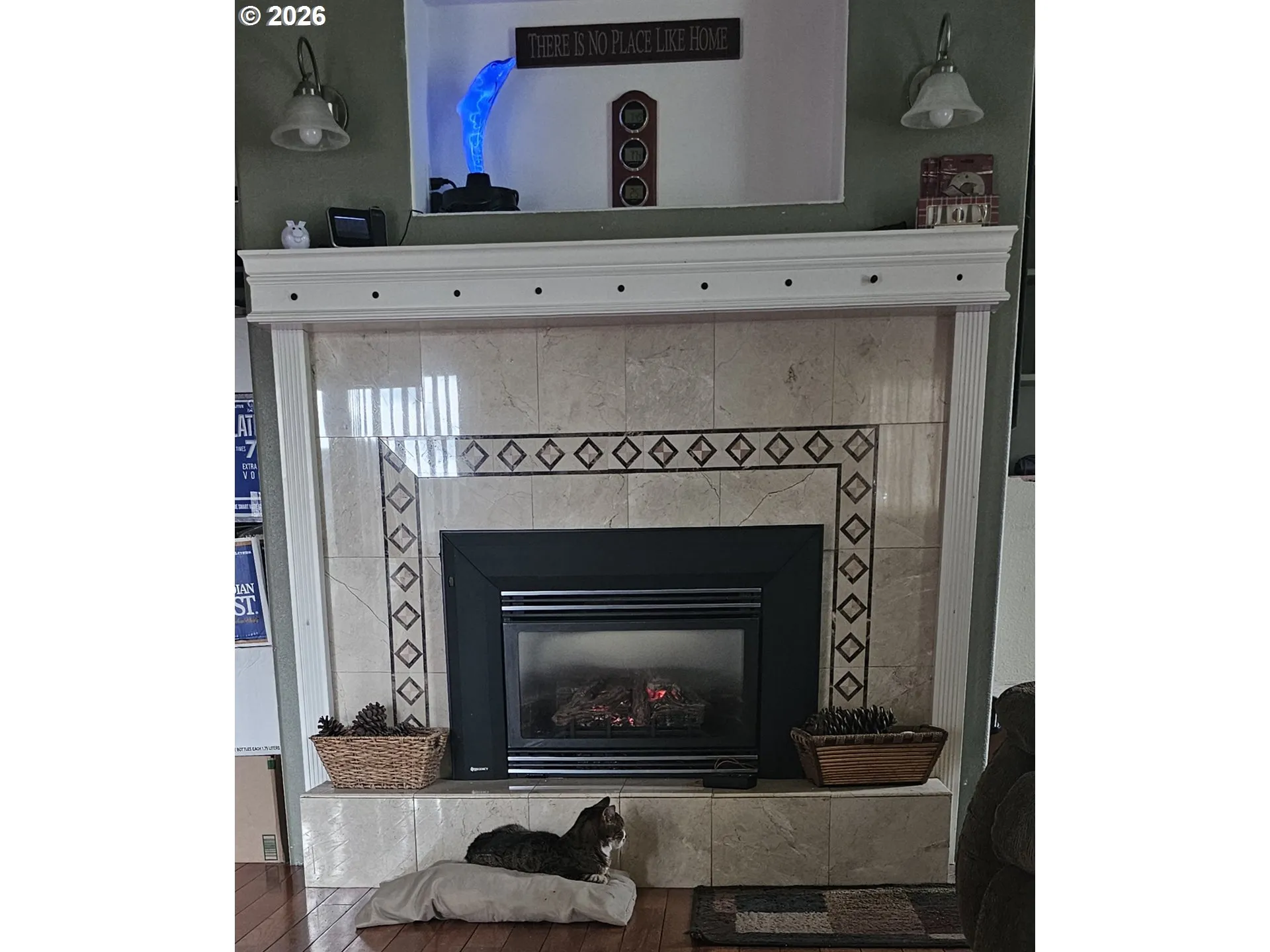 Living Room-Fireplace