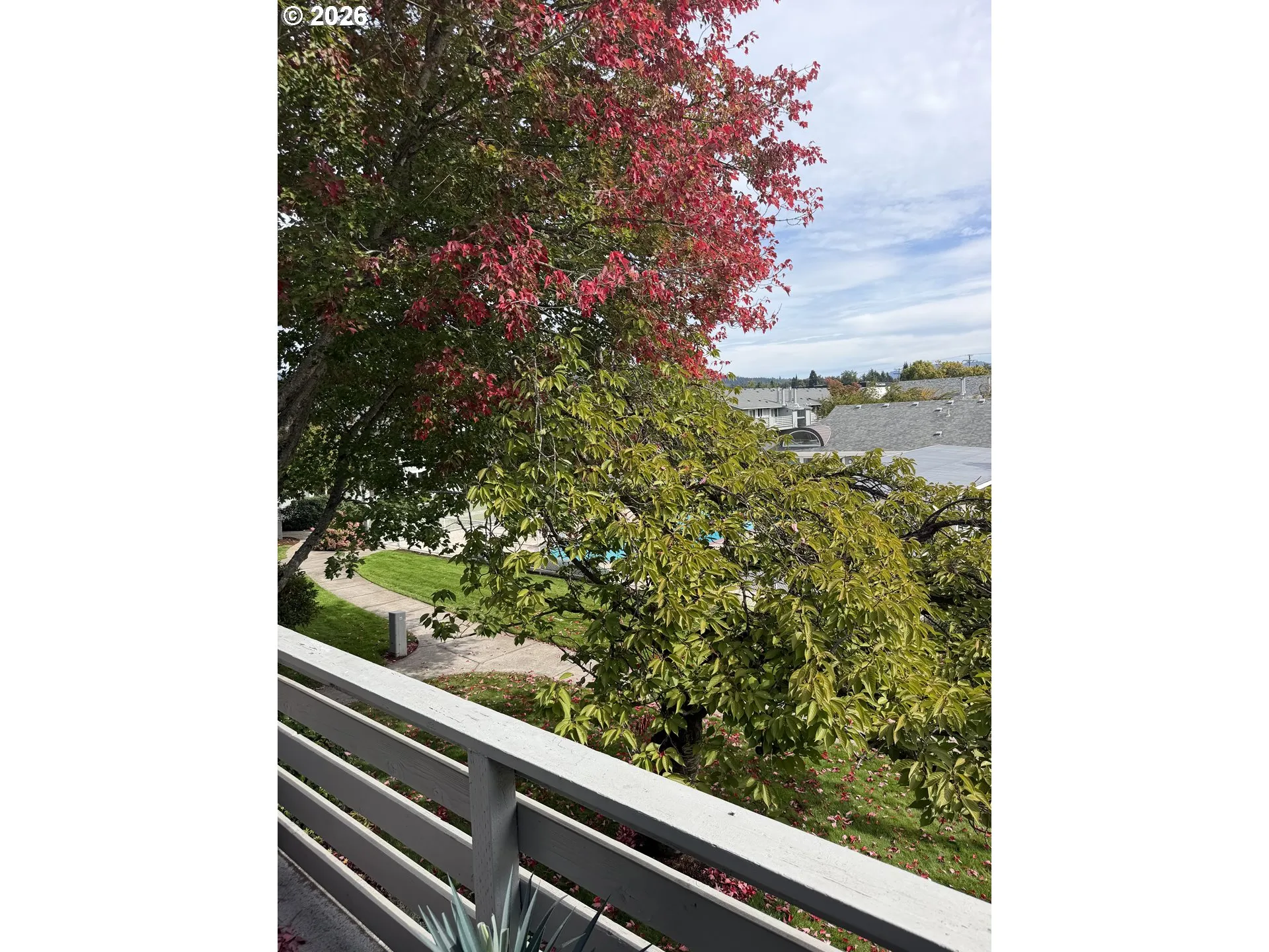 Deck-Upper
