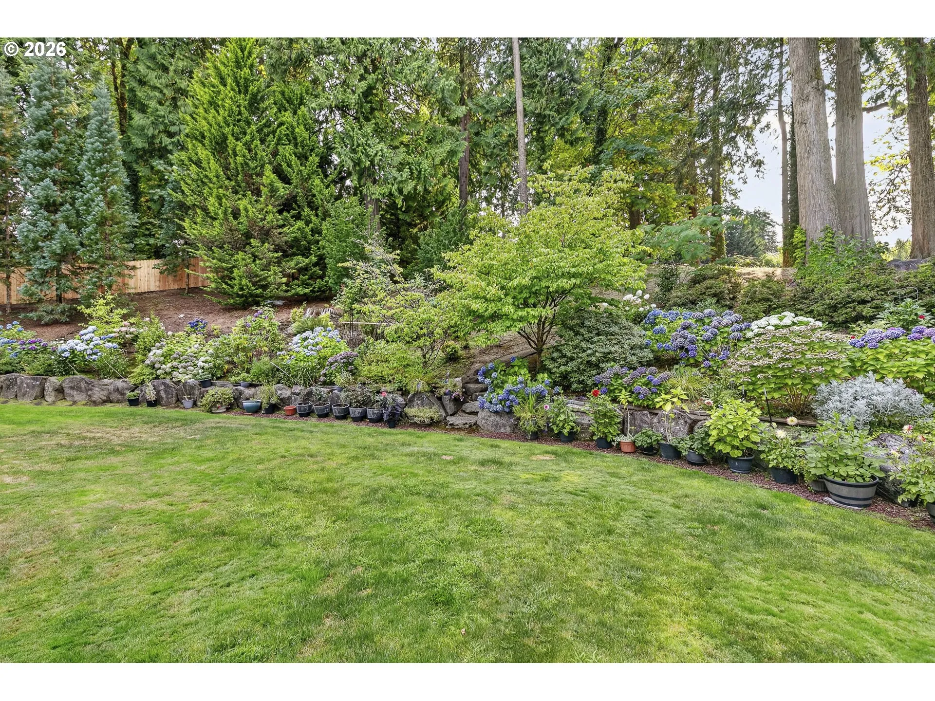 Backyard-Fenced