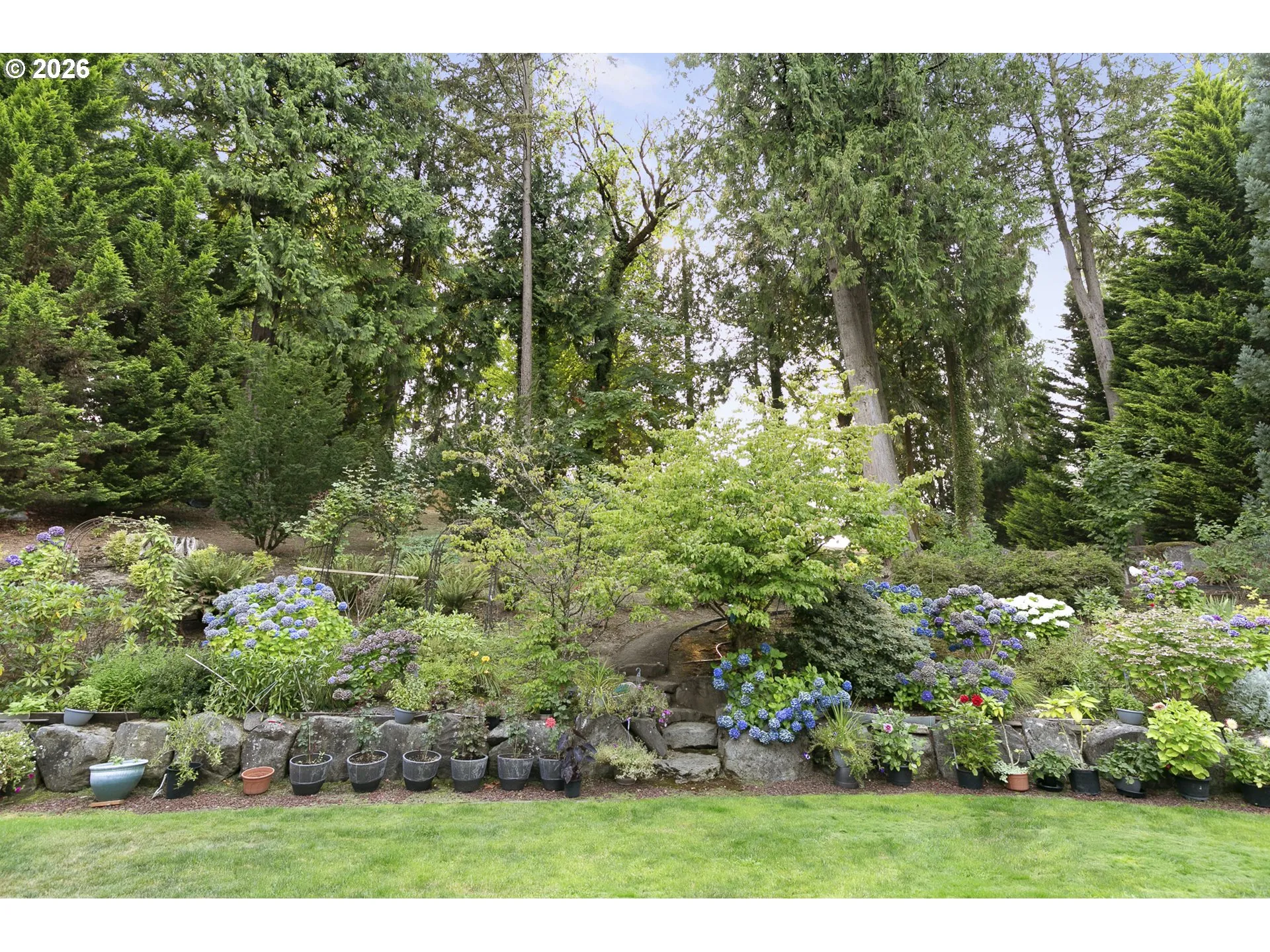 Backyard-Fenced