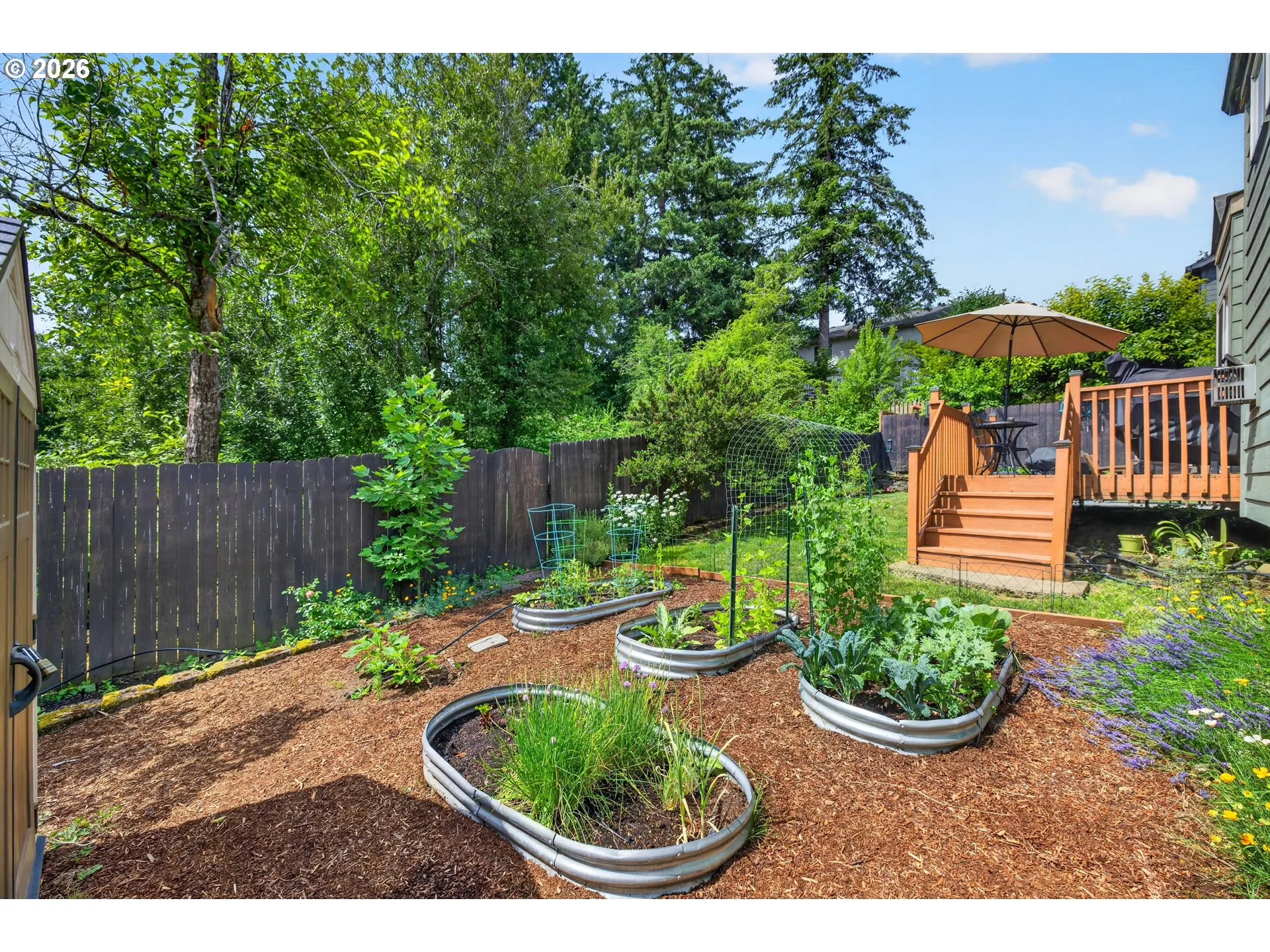 Garden