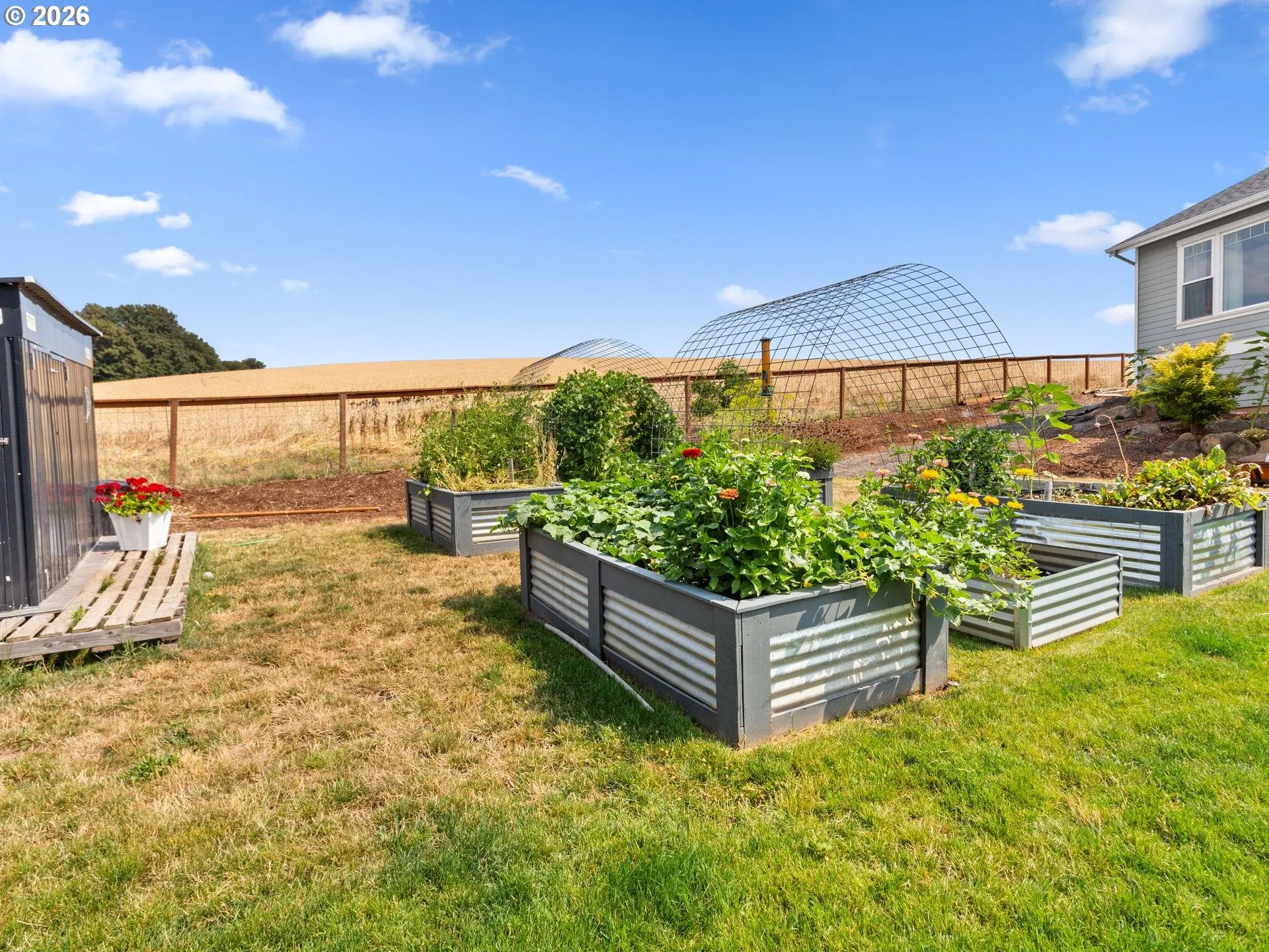 Backyard-Fenced