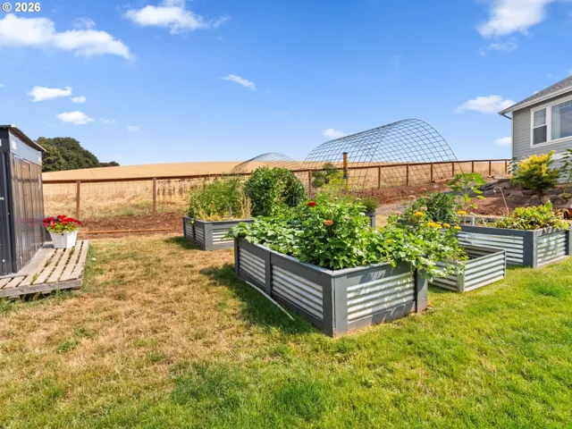 Backyard-Fenced