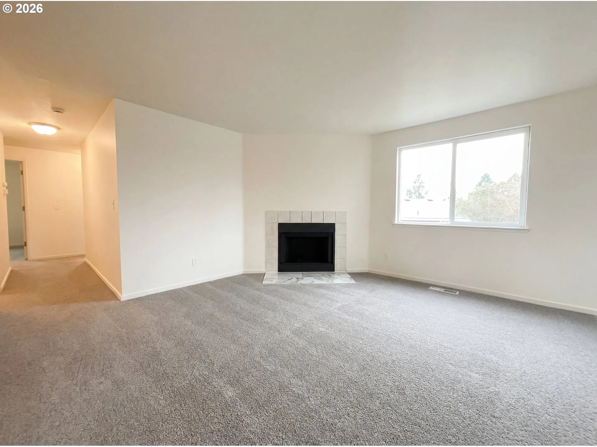 Living Room-Fireplace