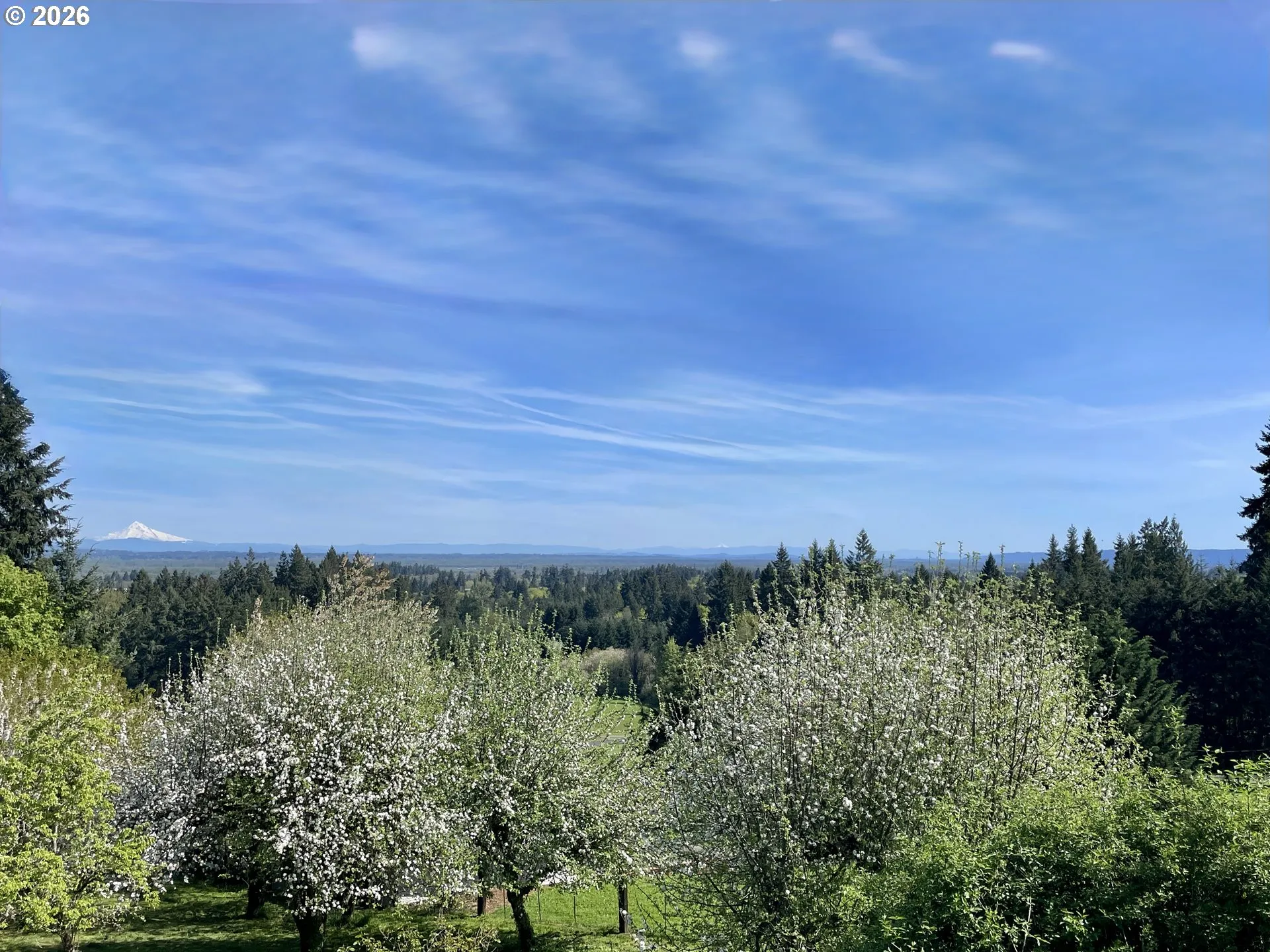View-Mountain