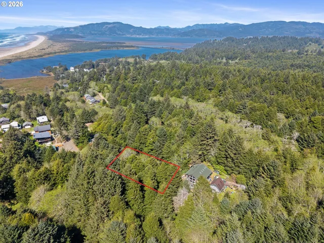 View-Aerial