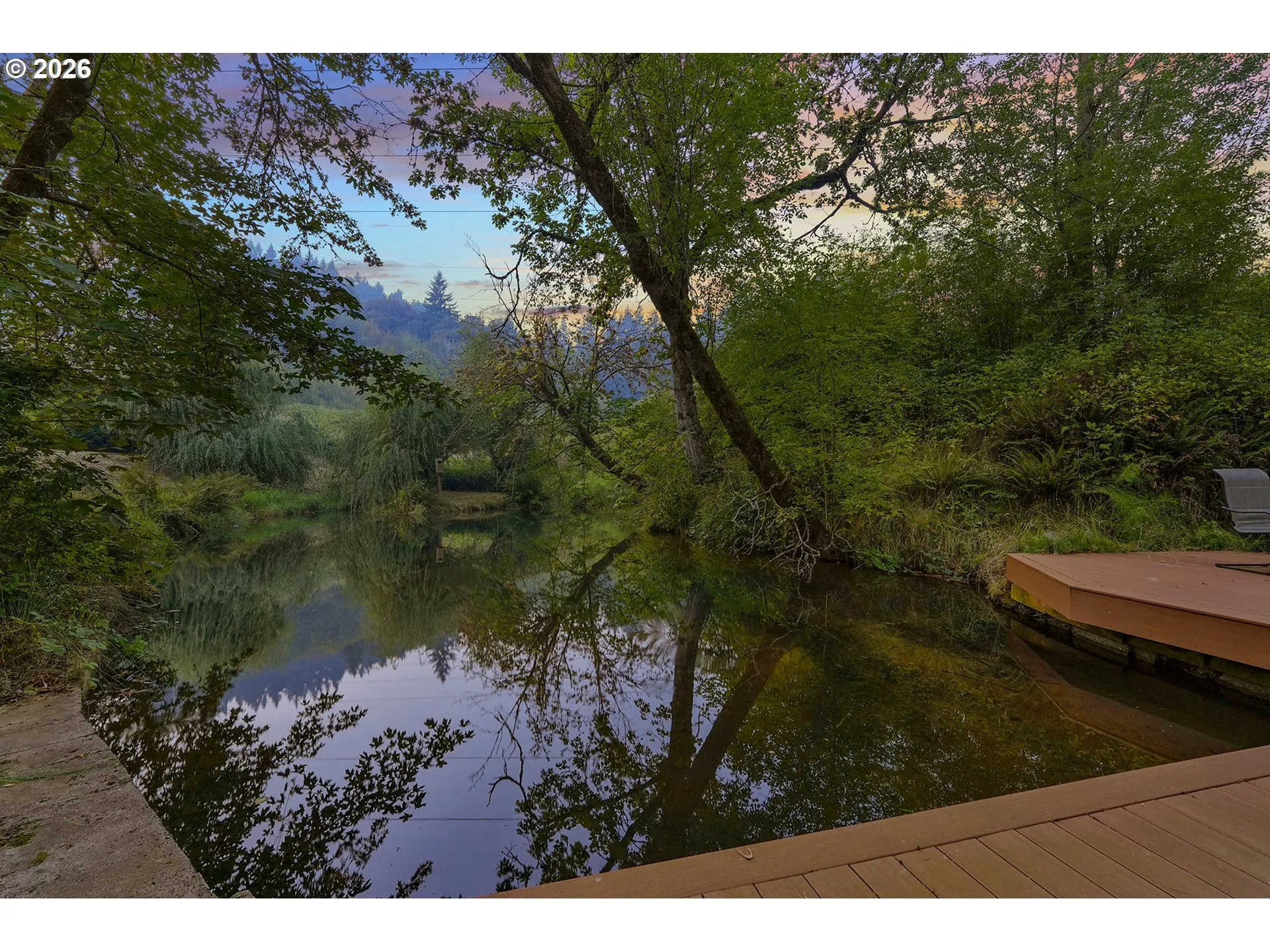 Pond