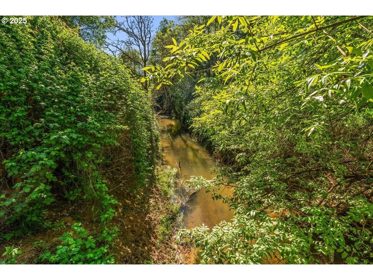 Creek-Year Round