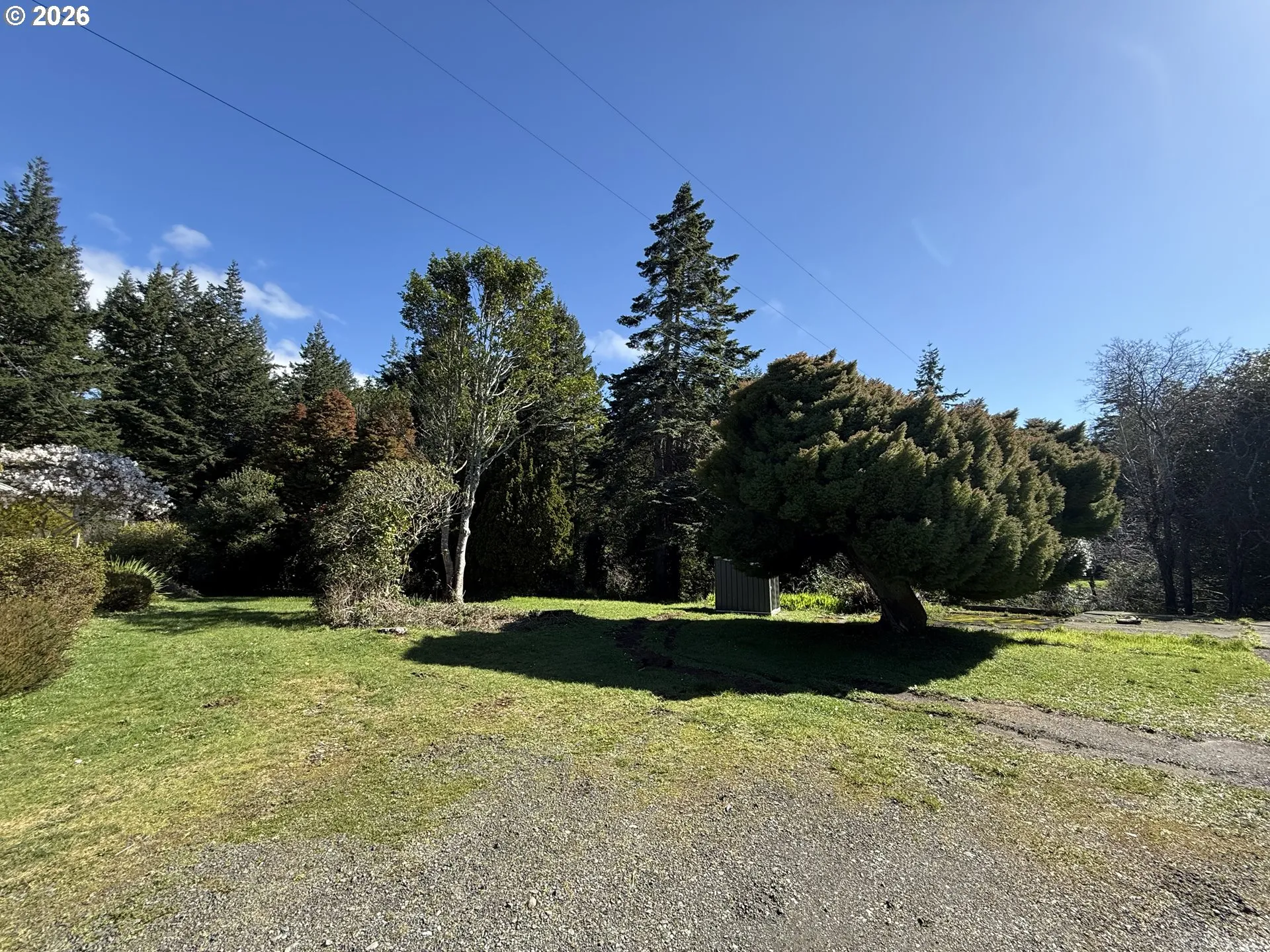 Front Yard