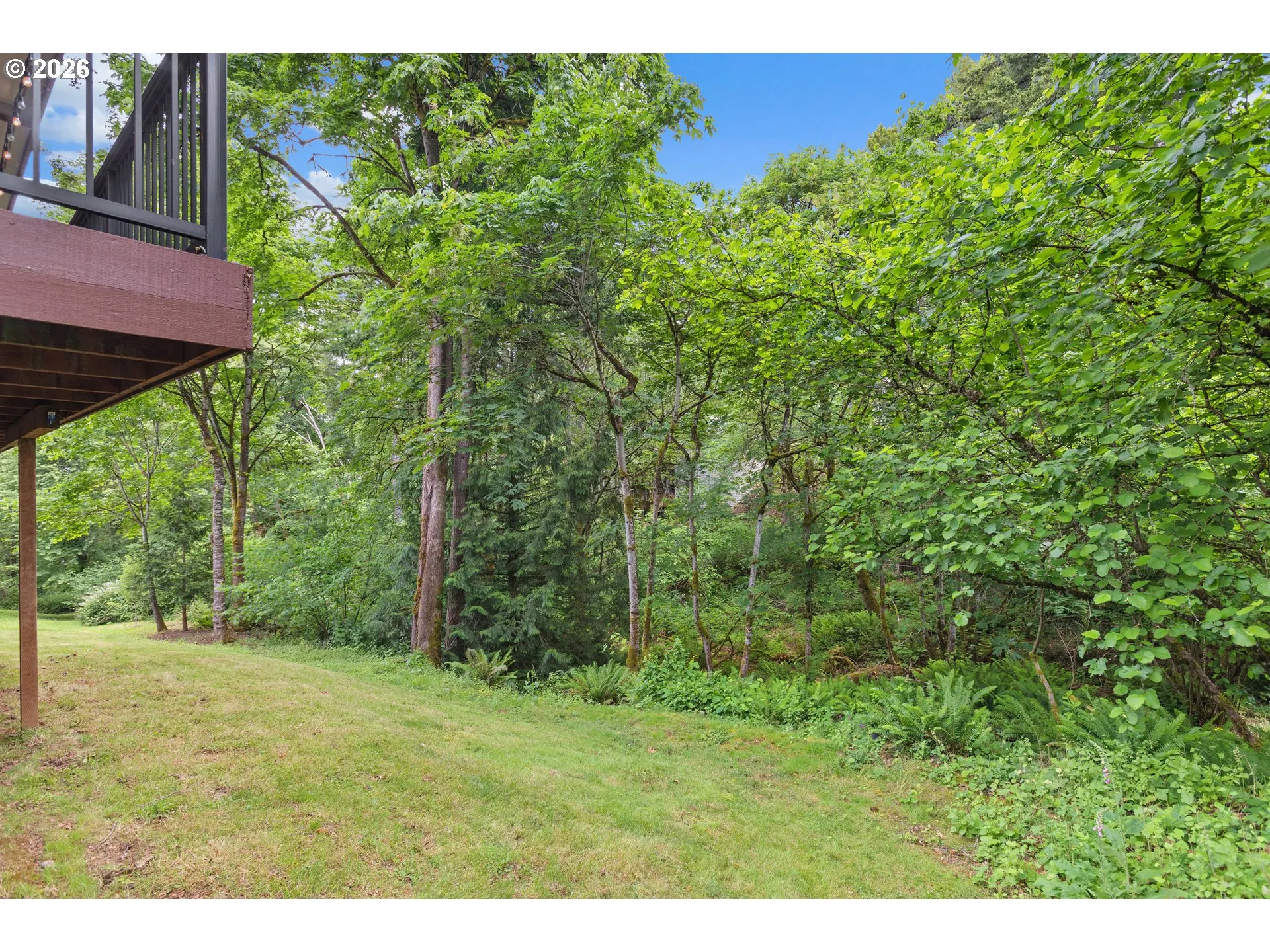 Green Space-Back