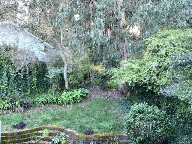 Backyard-Fenced
