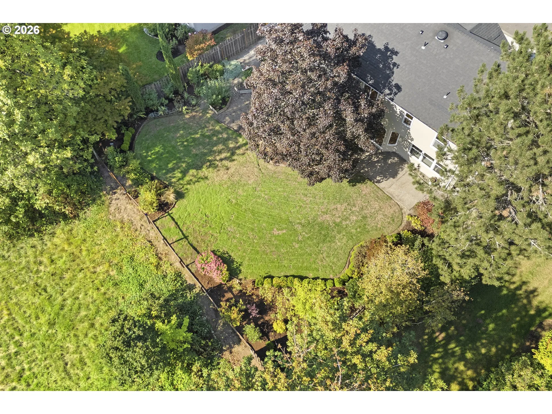 Backyard-Fenced