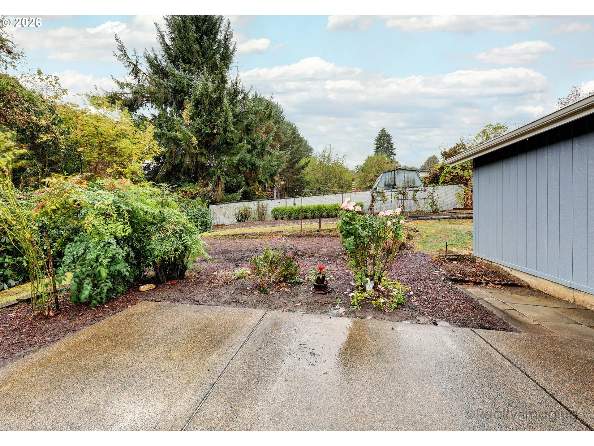 Backyard