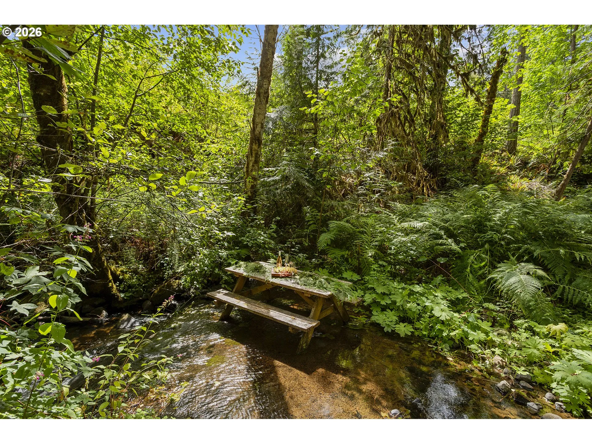 Creek-Year Round