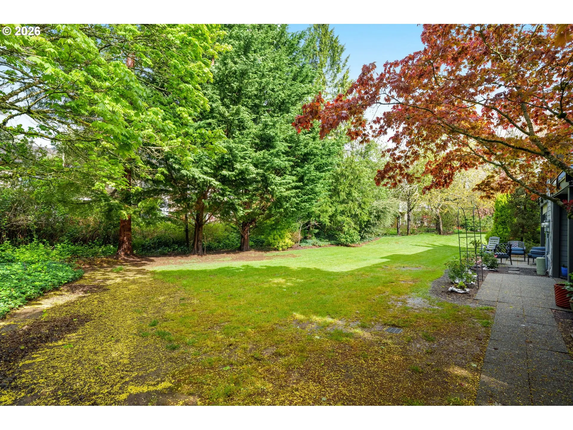 Backyard
