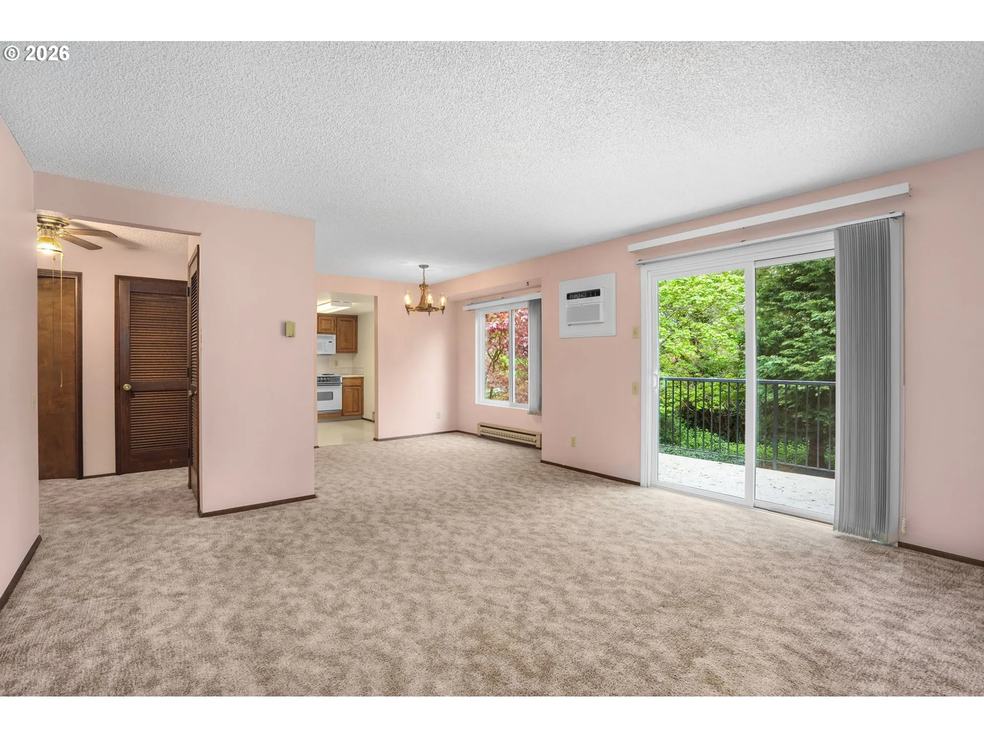 Living Room/Entrance