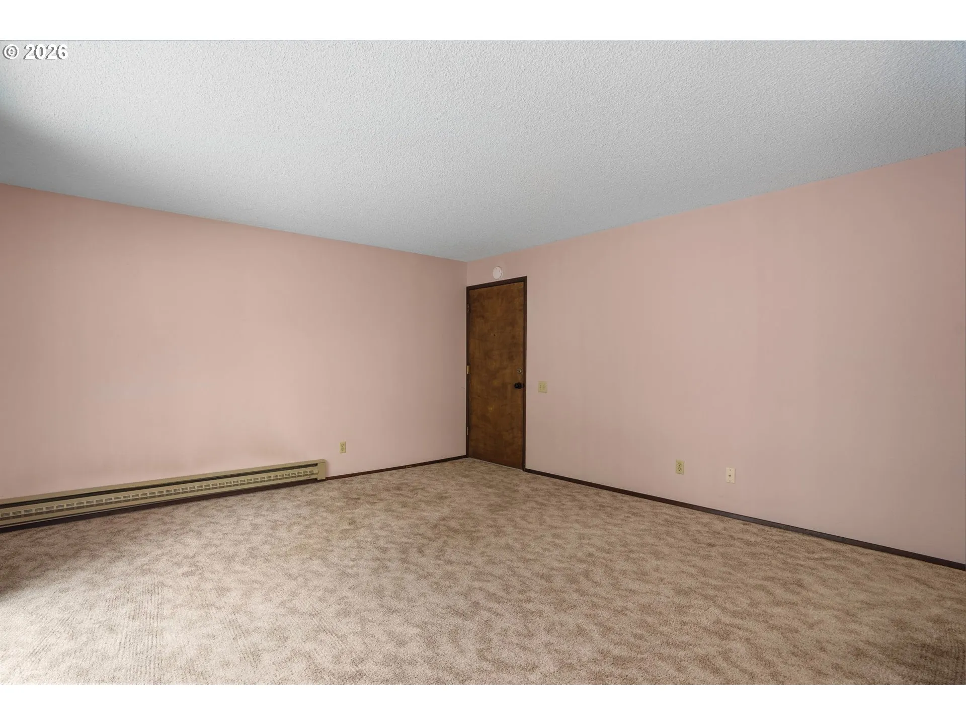 Living Room/Entrance